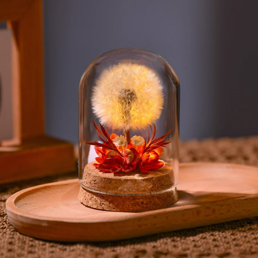 Flower Night Light Dandelion Preserved Flower in Glass Dome