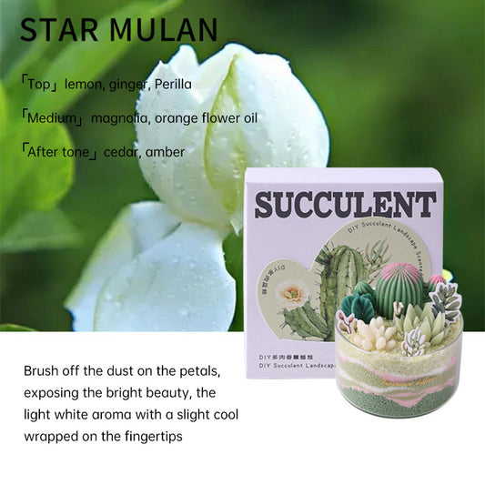 Scented Candle DIY Succulent Cactus Sand Candle Handmade Wedding Birthday Gift Candle