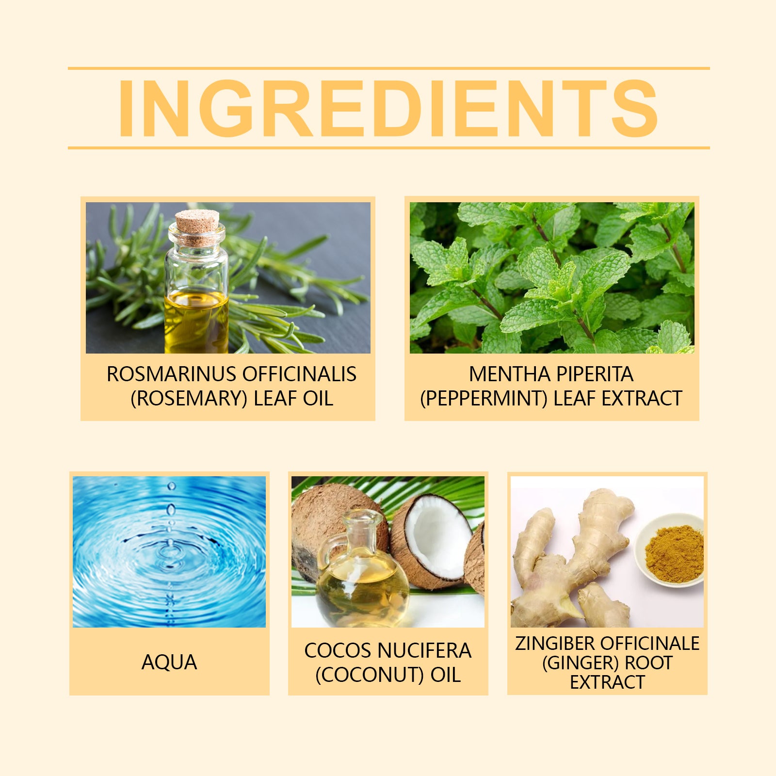 Rosemary Shampoo Cleans And Strengthens Hair Gentle Smoothing Hair Care