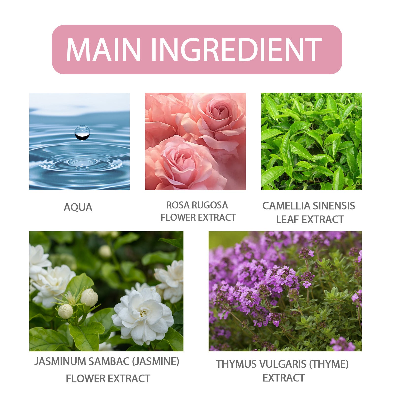 Pheromone Perfume Rose Fresh Light Fragrance Exudes Charm Long-Lasting Fragrance For Women