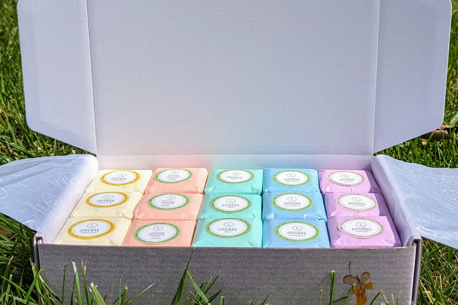 Spring Shower Steamers, Gift Set of Big Fizzies [Lizush] *Made in USA* BoGo Special!