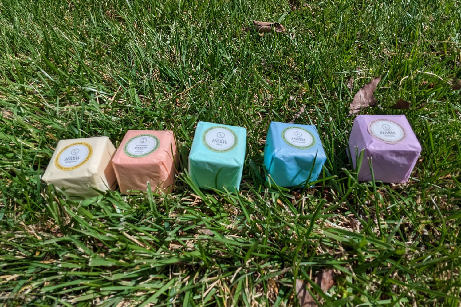 Spring Shower Steamers, Gift Set of Big Fizzies [Lizush] *Made in USA* BoGo Special!