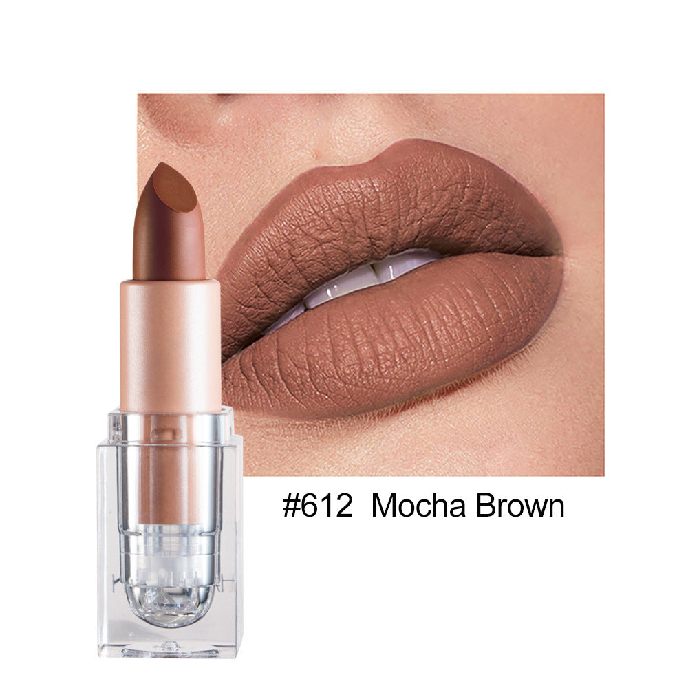 Silky Ice Cube Matte Lipstick 12 Color Lipstick Nude Long Lasting Colors