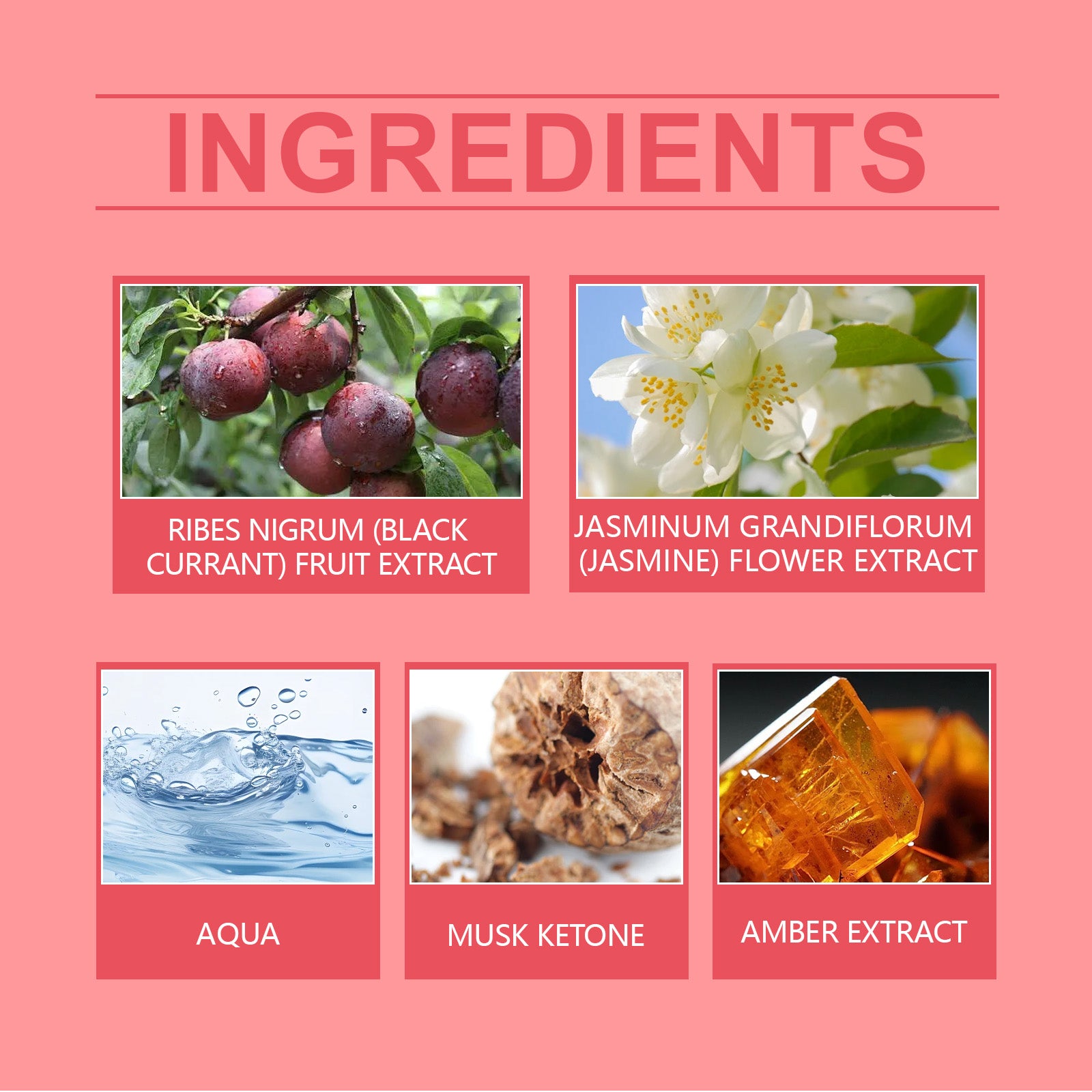 Amber Fruity Plum Body Perfume Spray, Light Fragrance with Natural Fresh And Non Greasy Formula