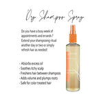 Dry Shampoo Spray