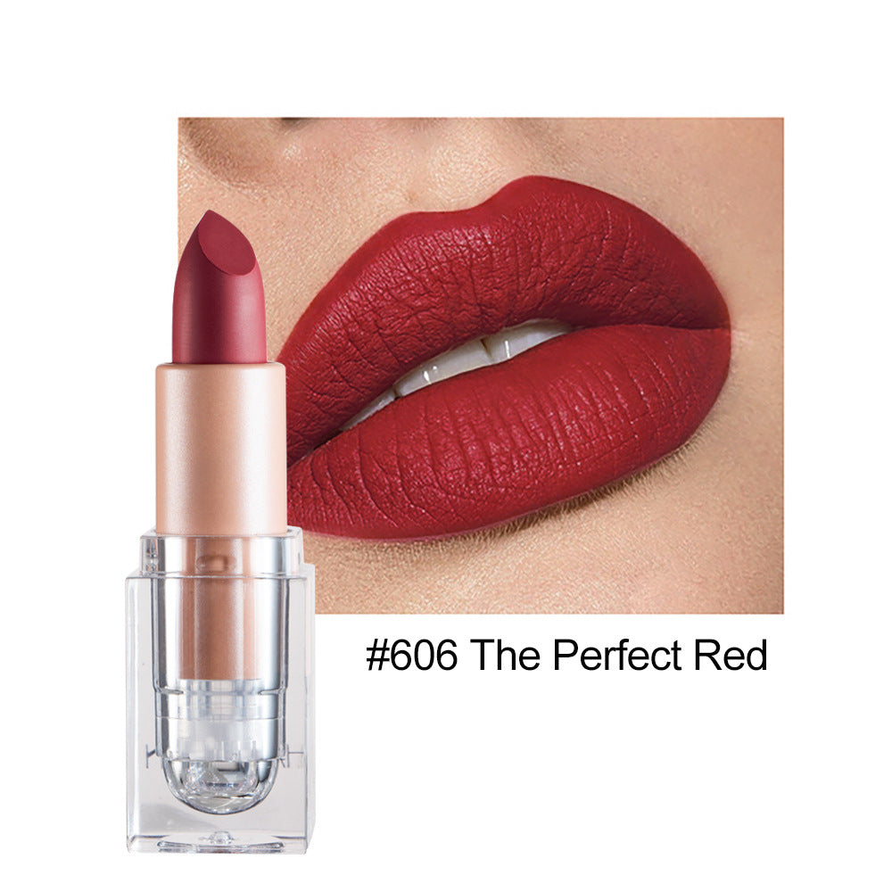 Silky Ice Cube Matte Lipstick 12 Color Lipstick Nude Long Lasting Colors