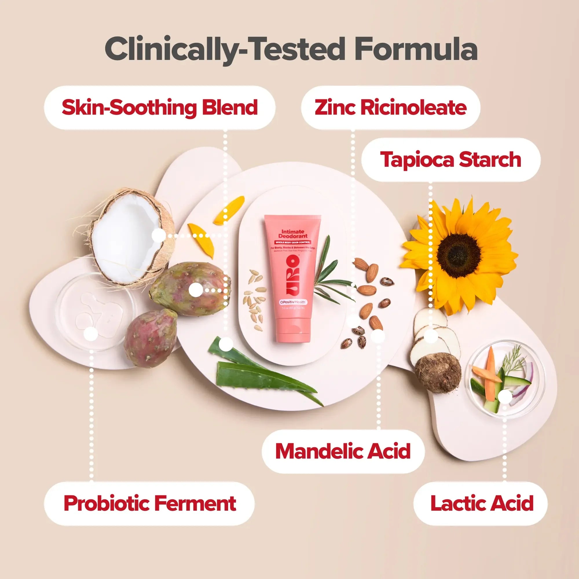 description_selected2