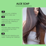 Hair Shampoo Bar With Aloe Vera Essential Oil Cleans Scalp And Nourishes Hair With Refreshing And Smoothing Hair Care Soap Bar